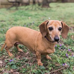 Meet your Posher, Tracy